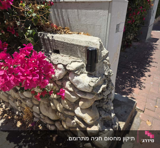חיישן שער חשמלי על קיר אבן עם פרחים ורודים